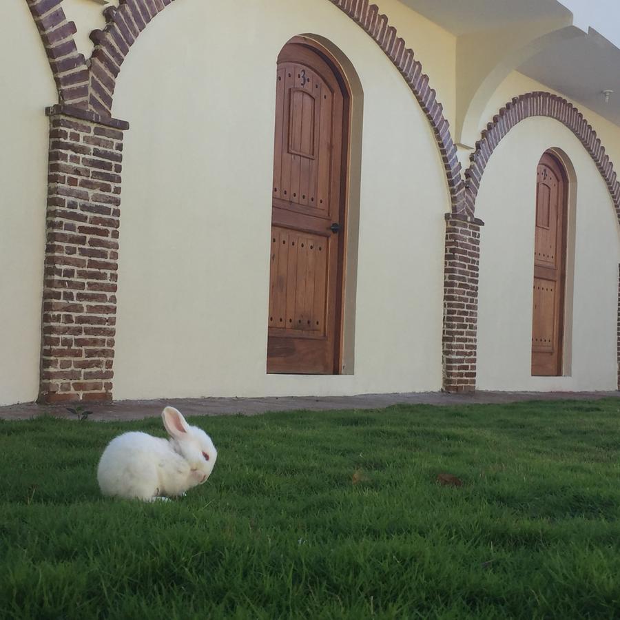 Hotel Yamili Punta Cana Buitenkant foto